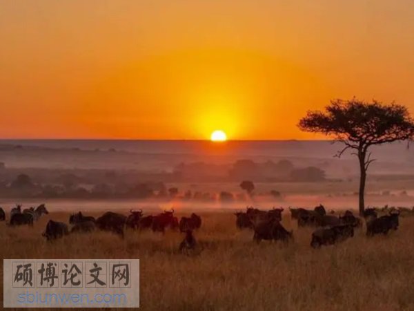 行政管理体制论文题目范例
