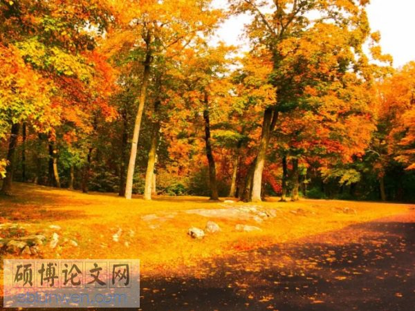 会计稳健性论文题目范例