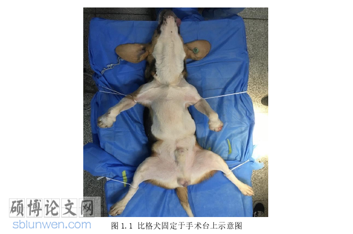 临床医学论文参考