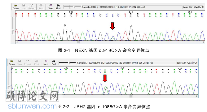 临床医学论文怎么写