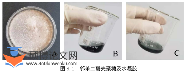 医学论文怎么写
