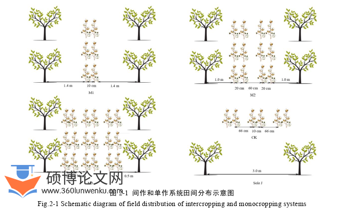 农业论文怎么写