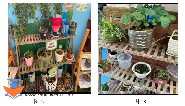 社会学论文参考