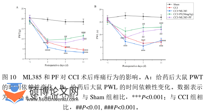 药学论文怎么写