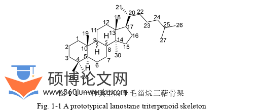 药学论文怎么写