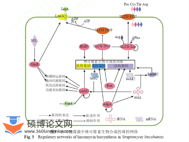 职称论文怎么写