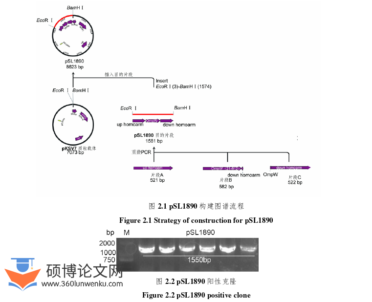 医学论文怎么写