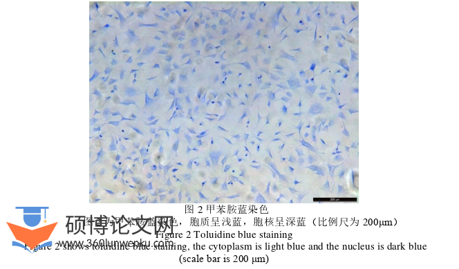 临床医学论文怎么写