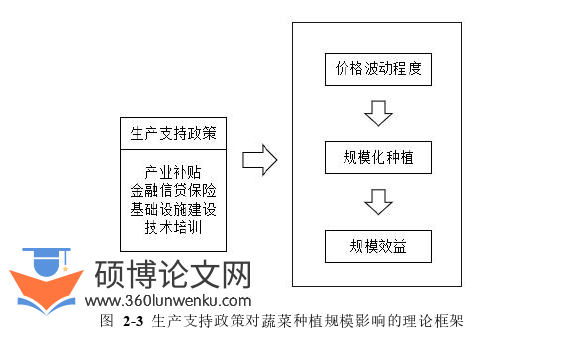 MPA论文怎么写