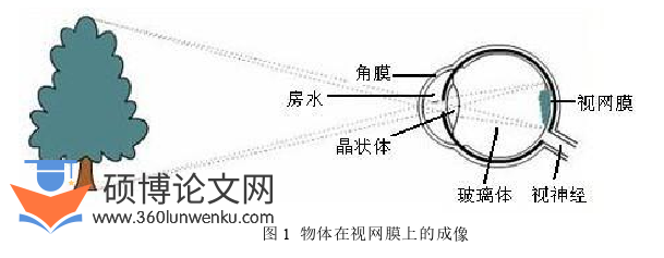 体育论文怎么写