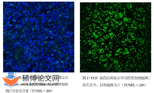 临床医学论文参考