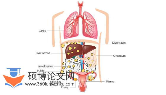 药学论文怎么写