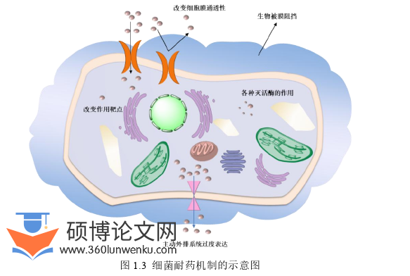 药学论文参考