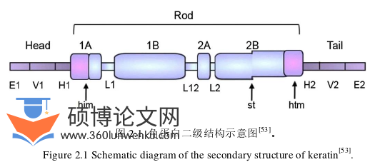 药学论文怎么写