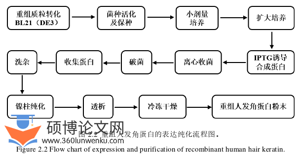 药学论文怎么写