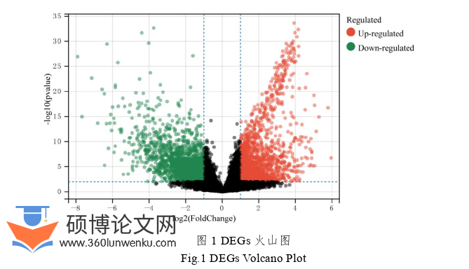 药学论文怎么写