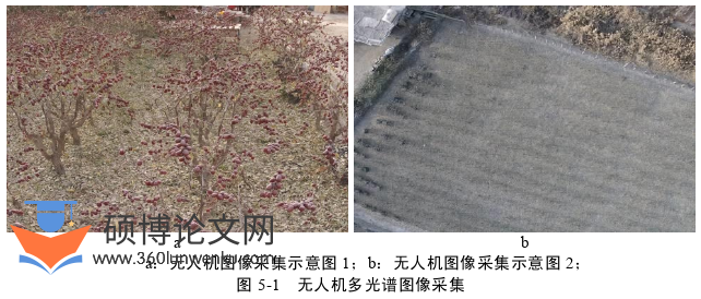 农业论文参考