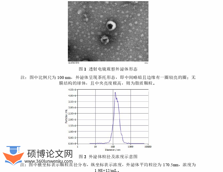 医学论文参考