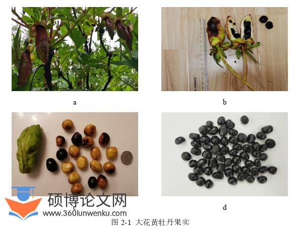 农业论文怎么写