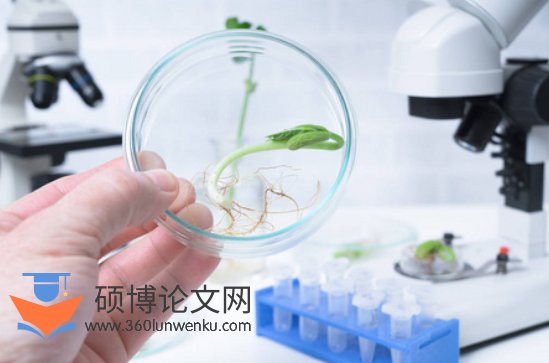 职称论文怎么写