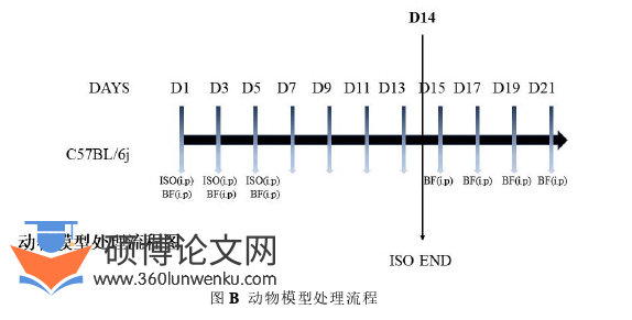 临床医学论文怎么写