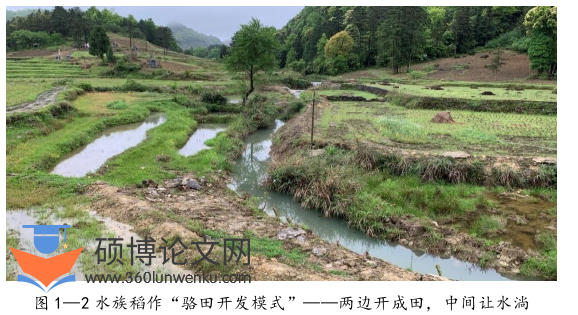 社会学论文怎么写