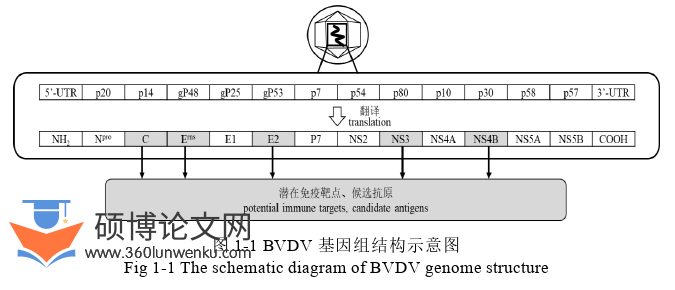 医学论文怎么写