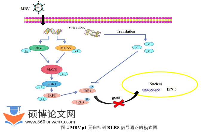 医学论文参考