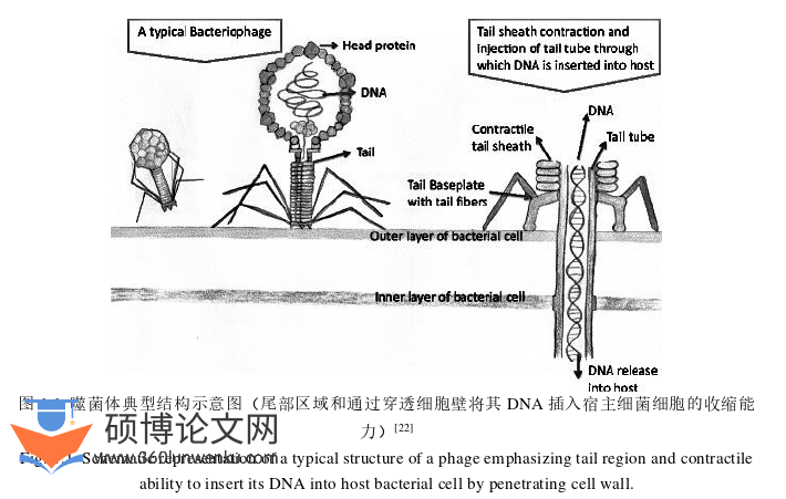 药学论文参考