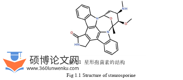 药学论文怎么写