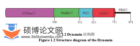 临床医学论文怎么写