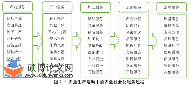 博士论文怎么写