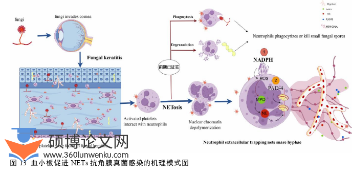 医学论文参考