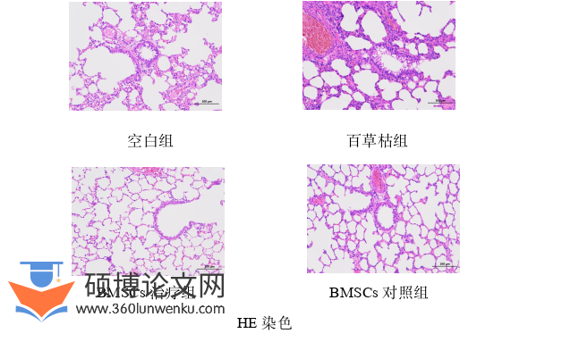 医学论文参考